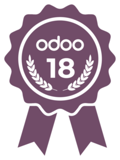 Odoo 18 Functional Certification 